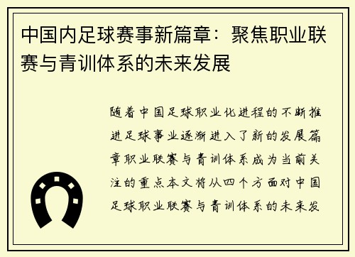 中国内足球赛事新篇章：聚焦职业联赛与青训体系的未来发展