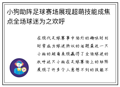 小狗助阵足球赛场展现超萌技能成焦点全场球迷为之欢呼