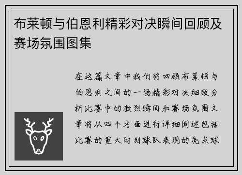 布莱顿与伯恩利精彩对决瞬间回顾及赛场氛围图集